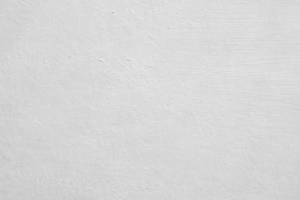 Trusted New Martinsville, WV Mold Removal Experts