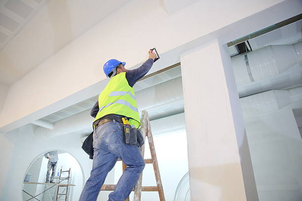 Best Mold Removal for HVAC Installations  in New Martinsville, WV